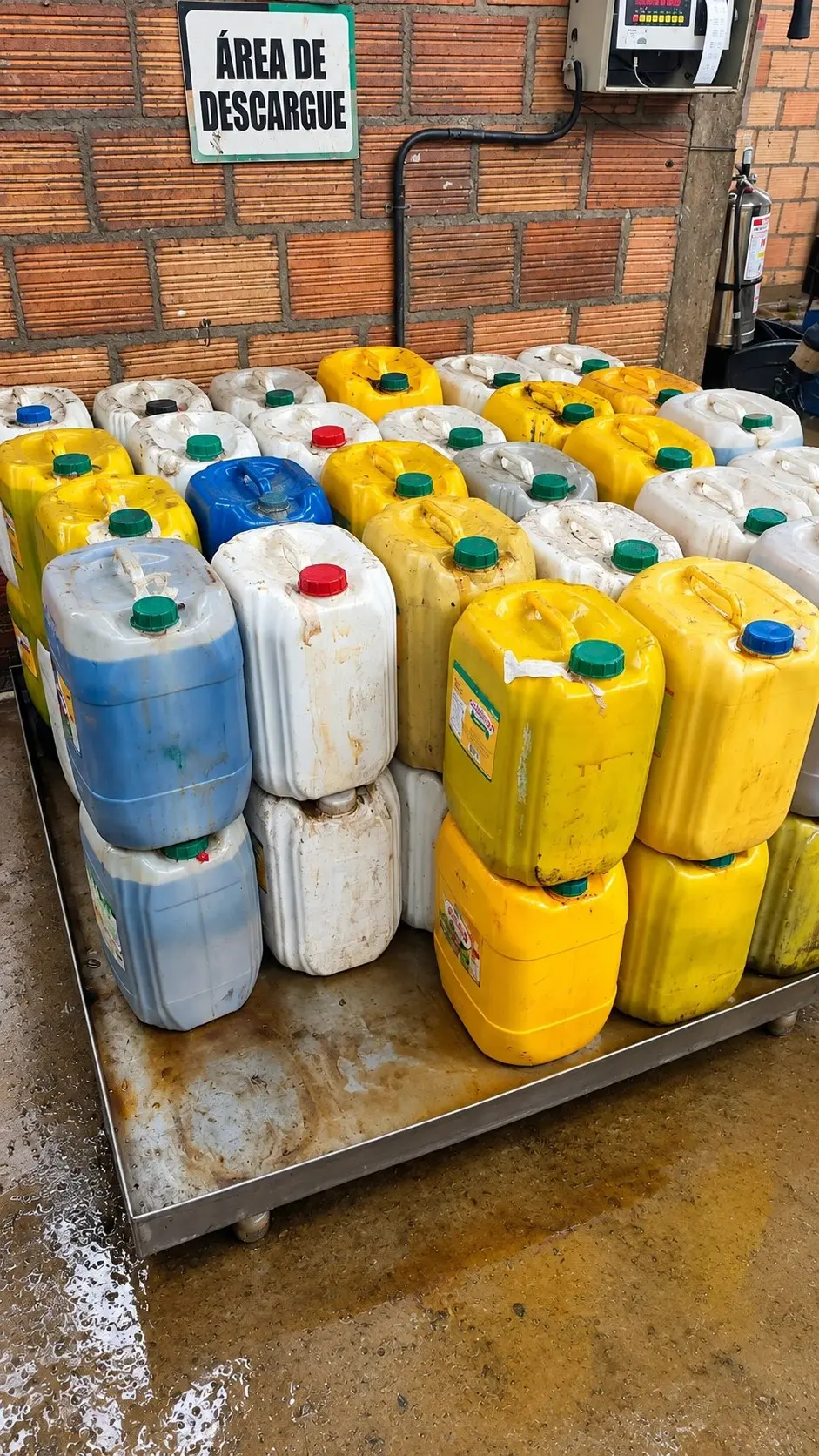 Bidones con aceite vegetal usado recolectado en el área de descargue